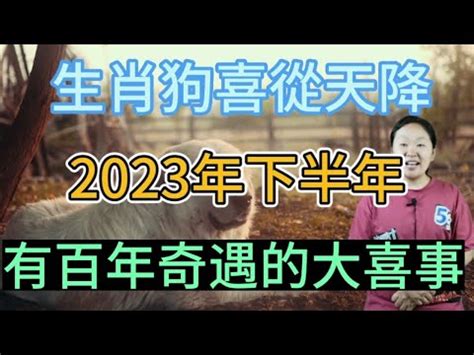 2023屬狗買房|【2023屬狗買房】2023年屬狗買房指南：樓層風水、宜忌注意事。